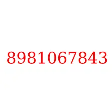 8981067843