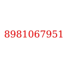 8981067951