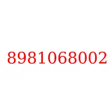 8981068002