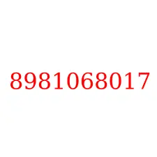 8981068017