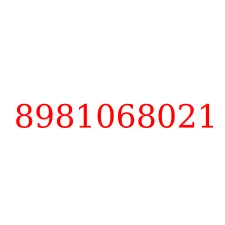 8981068021