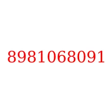 8981068091