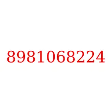 8981068224