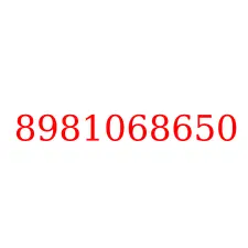 8981068650