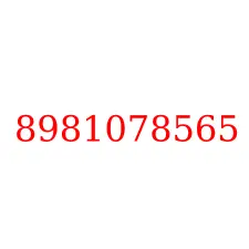 8981078565