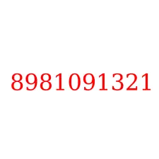 8981091321