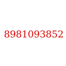8981093852