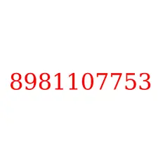8981107753