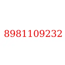 8981109232