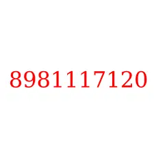 8981117120