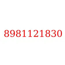 8981121830