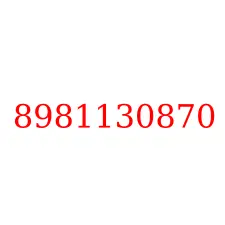 8981130870
