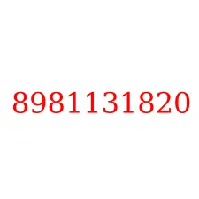 8981131820