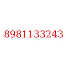 8981133243