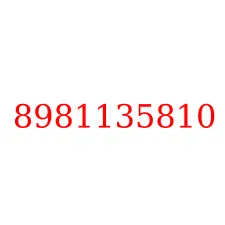8981135810