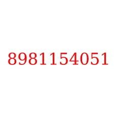 8981154051