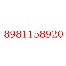 8981158920