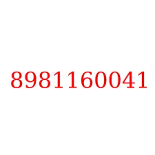 8981160041