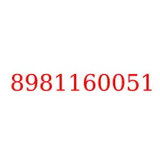 8981160051