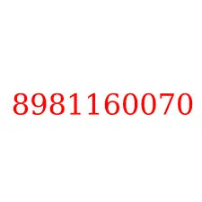 8981160070
