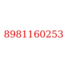 8981160253