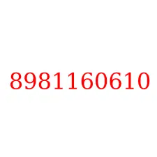 8981160610