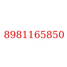 8981165850