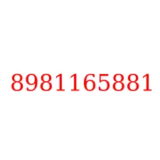 8981165881