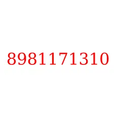 8981171310