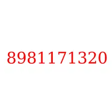 8981171320