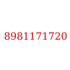 8981171720