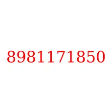 8981171850