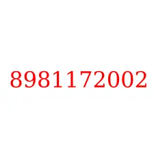 8981172002