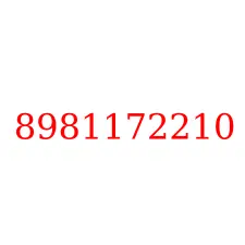 8981172210