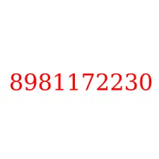 8981172230