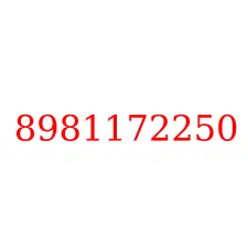 8981172250