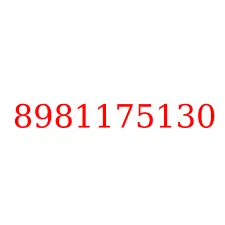 8981175130