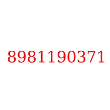 8981190371