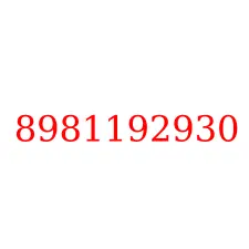 8981192930