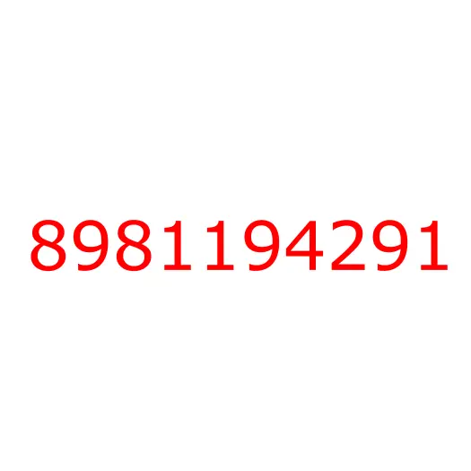 8981194291 BRACKET; INST PNL, 8981194291