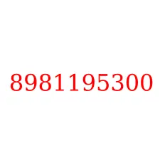 8981195300