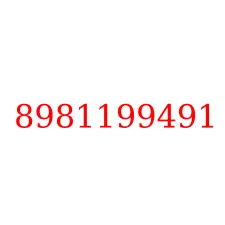 8981199491