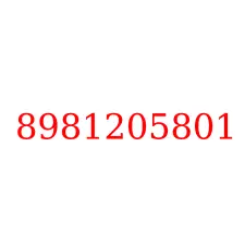 8981205801