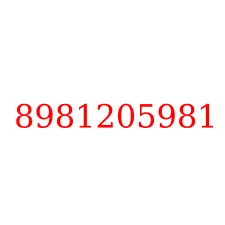 8981205981