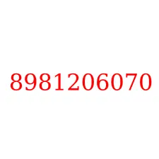 8981206070