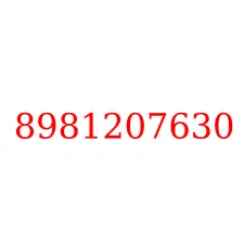 8981207630