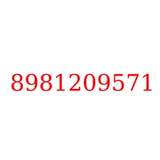 8981209571