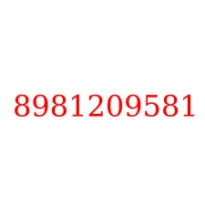 8981209581