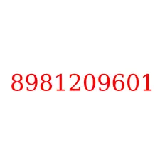 8981209601