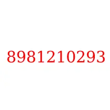 8981210293